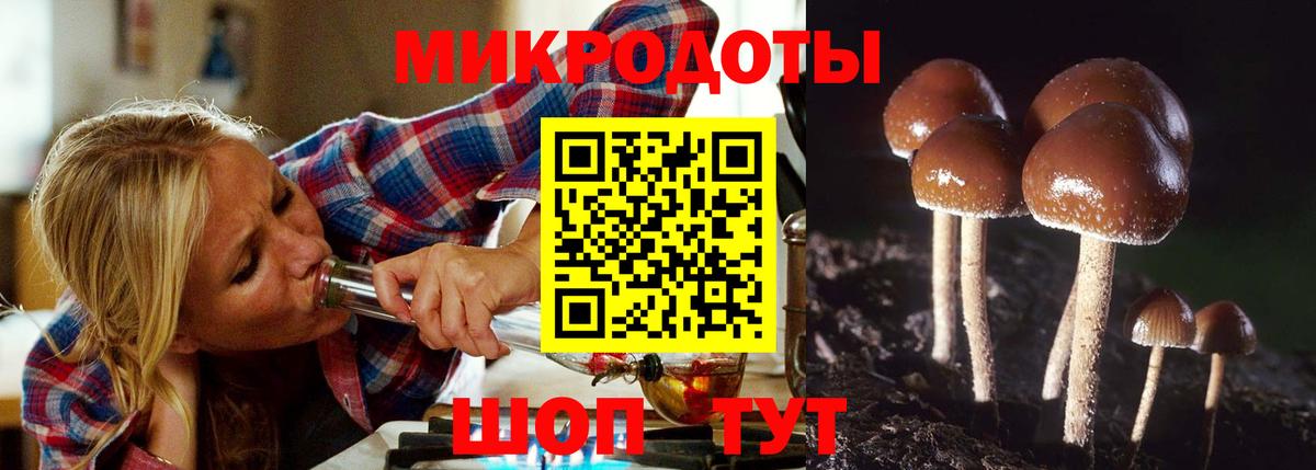 Псилоцибиновые грибы мицелий  Вход с VPN  наркошоп  Кольчугино 